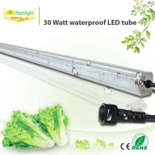 images/productimages/small/led-tube-30w.jpg