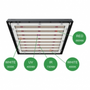 420 LED layout