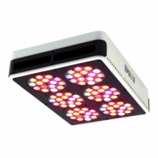 Apollo 6 LED kweeklamp