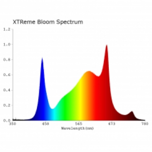 Dual Spectrum - Bloom