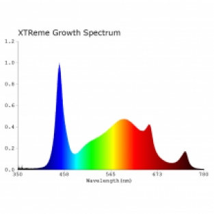 Dual Spectrum - Growth