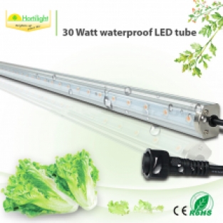 LED tube 30W | Bloeiperiode